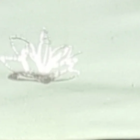 🌹3/25🌹G 21 Grey and Green Active Wear Pants Size L. - Picture 10 of 15